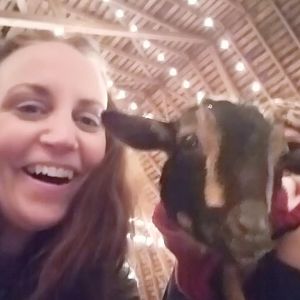 Meet your Posher, Susan